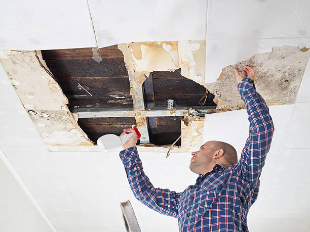 Mold Remediation for Vacation Homes in Howe, TX